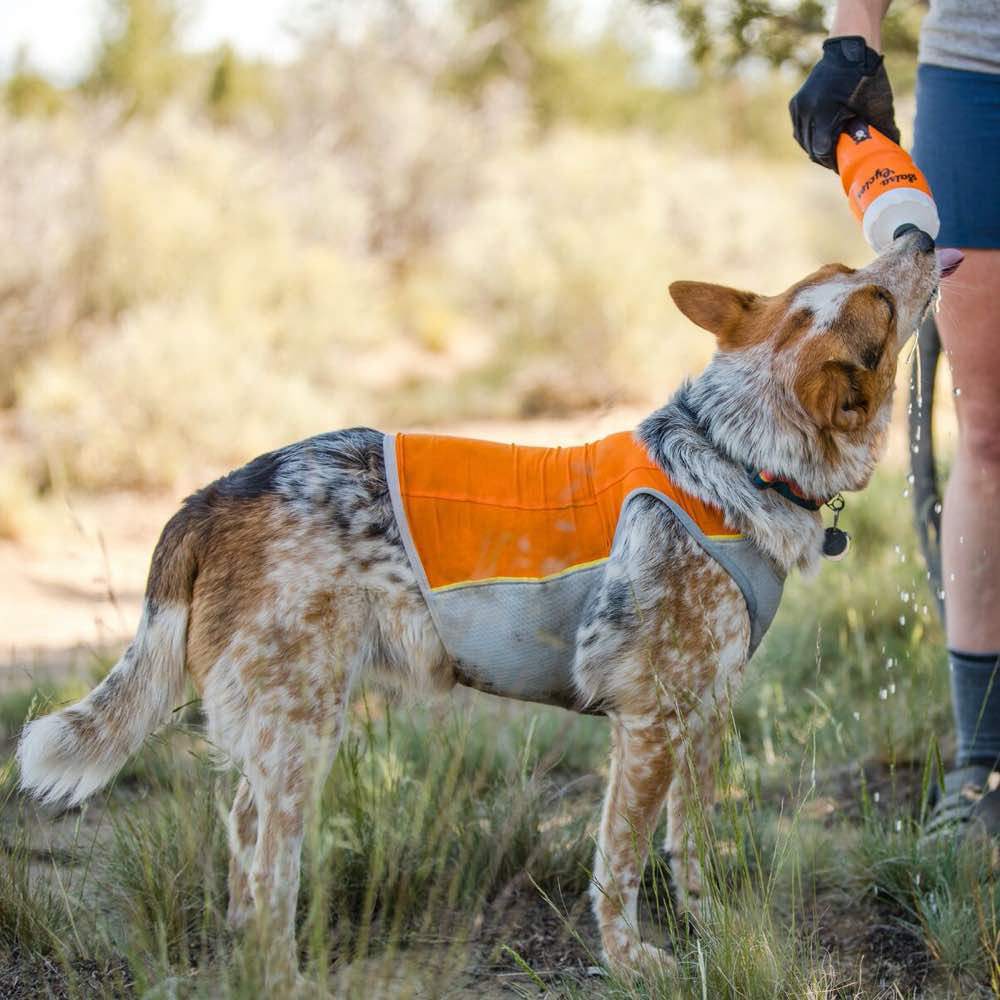 ruffwear jet stream