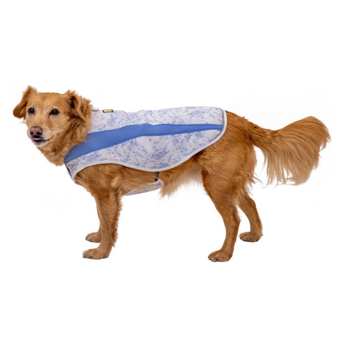 ruffwear lightweight cooling vest for dogs