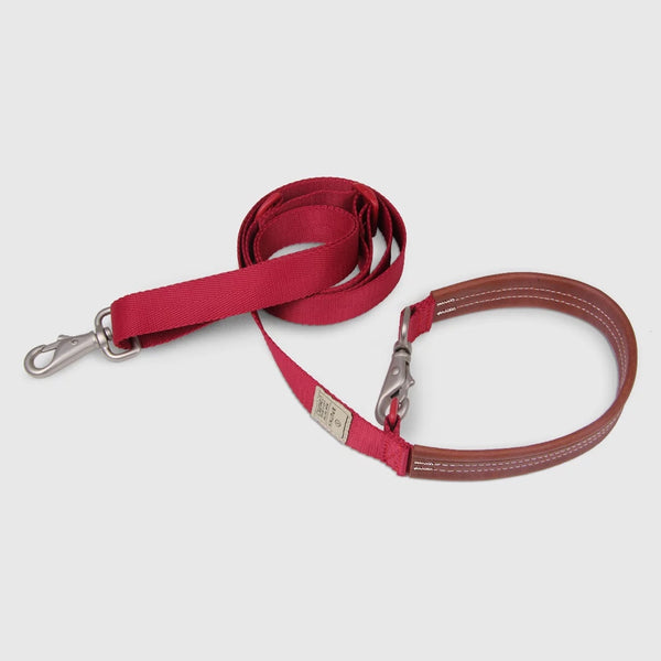 nylon dog leash