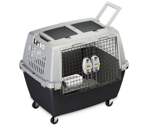 iata dog crate