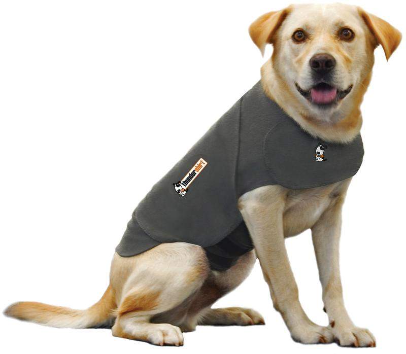 thunder shirt