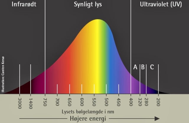 uv-lys