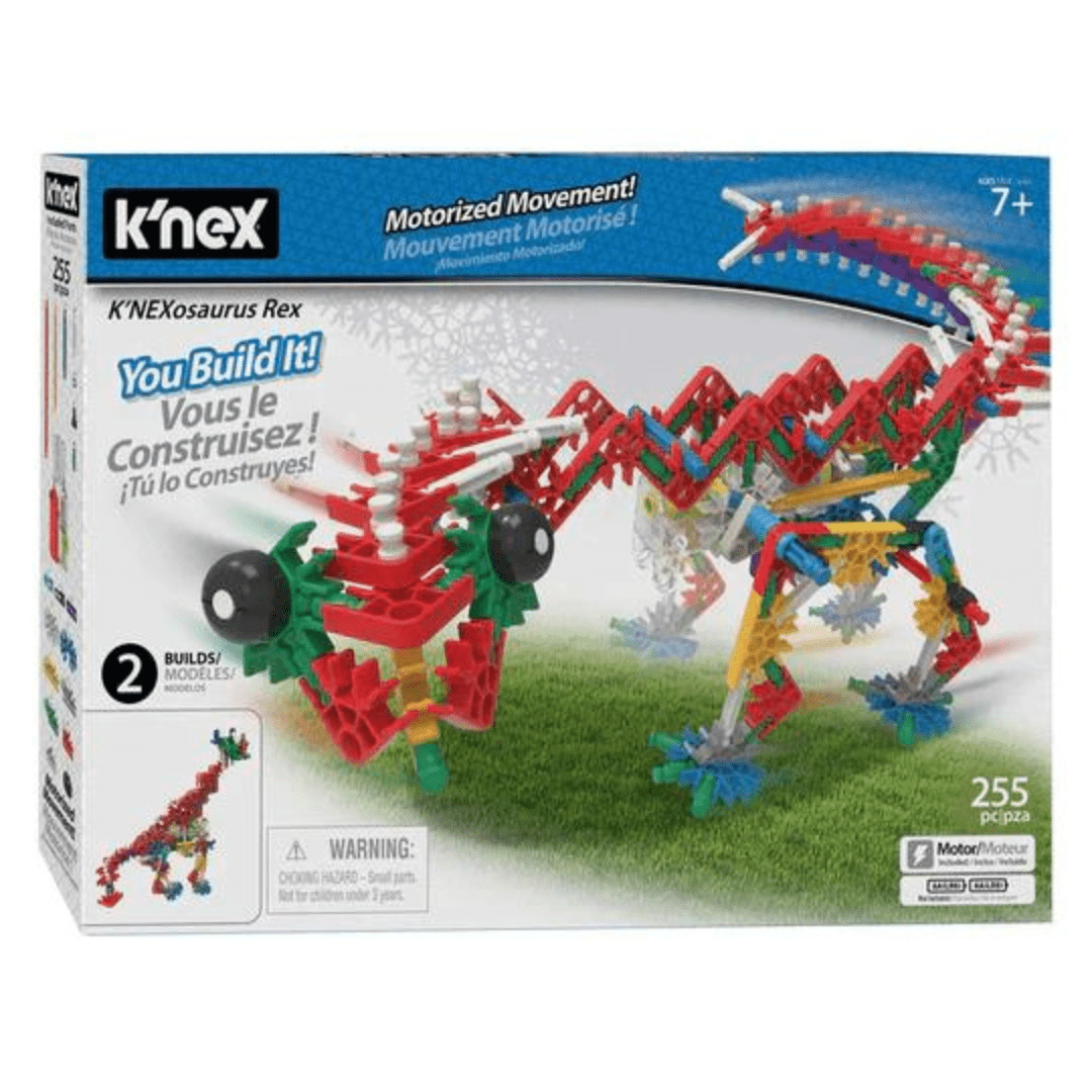 K'Nex Thrill Rides 3-in-1 Classic Amusement Park Building Set for Ages 9+,  Engineering Education Toy, 744 Pieces : : Toys & Games