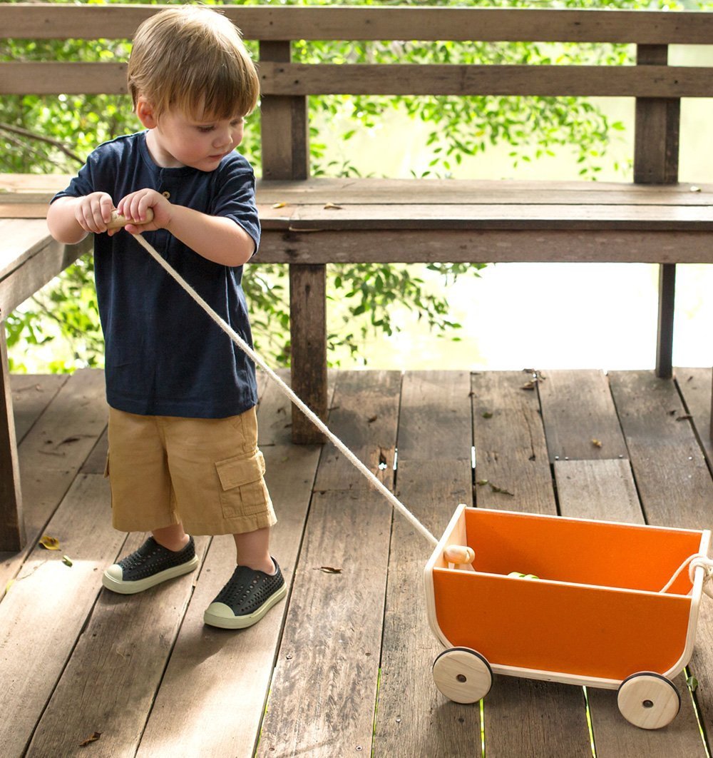 plan toys wagon