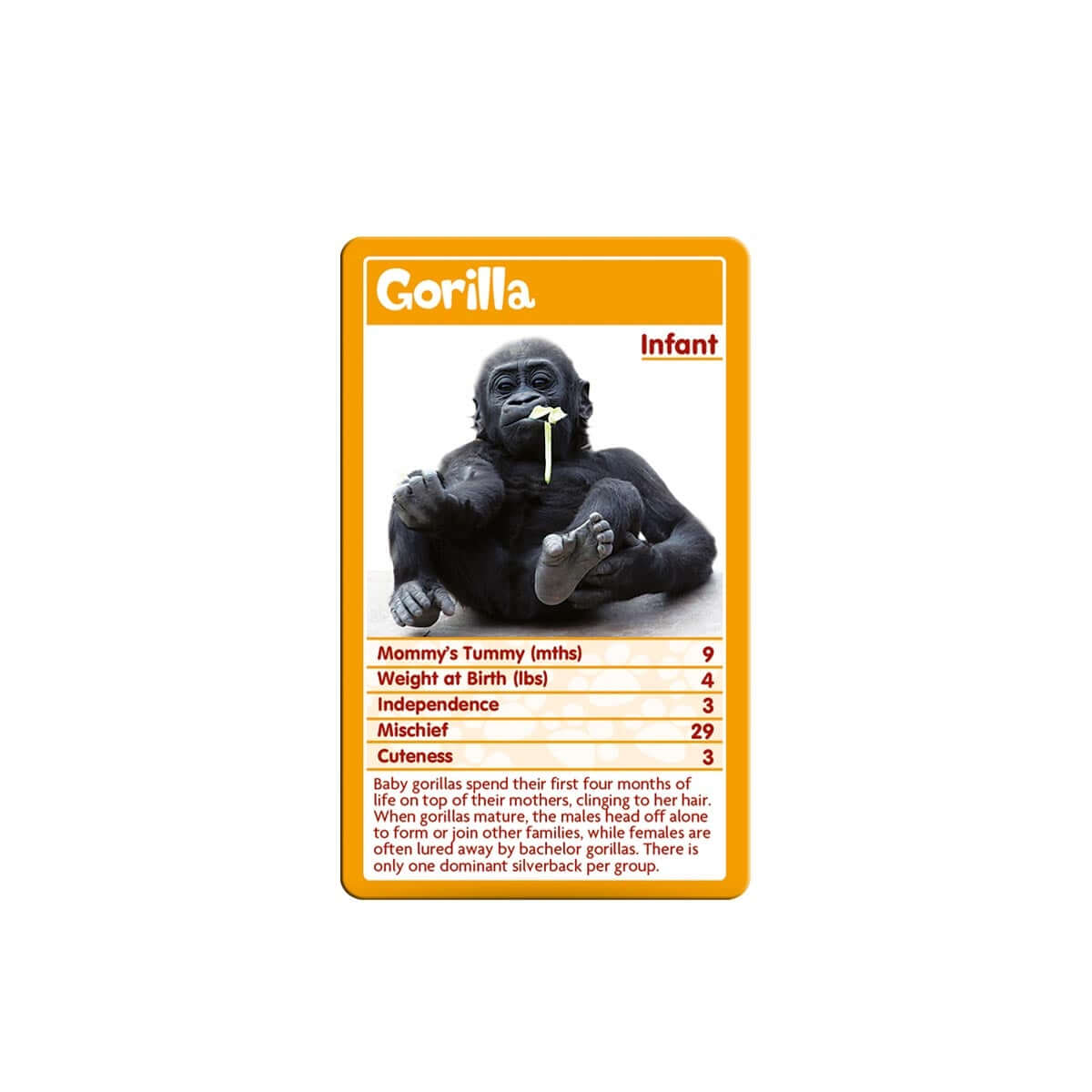 Baby Animals Top Trumps Educational Card Game  Top Trumps USA With Top Trump Card Template