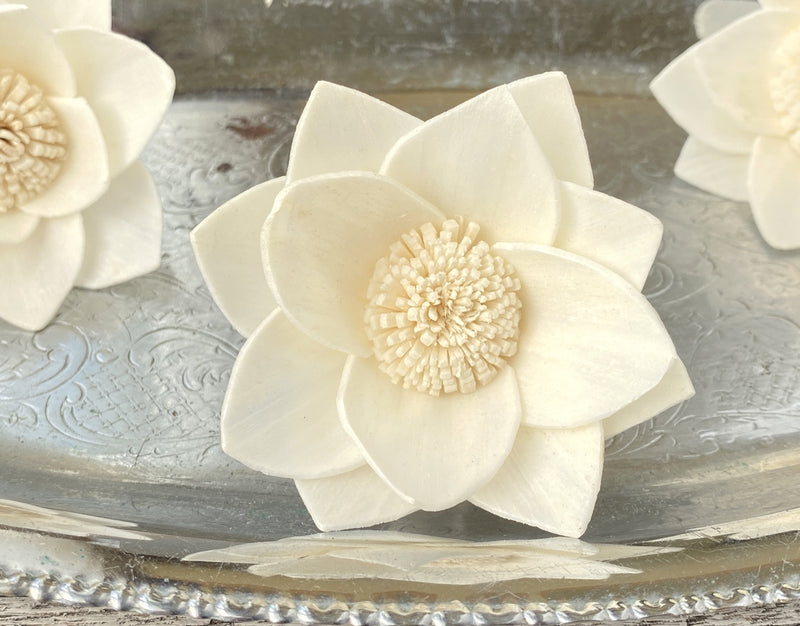 Raw Sola Wood Flowers - Luv Sola Flowers Page 3