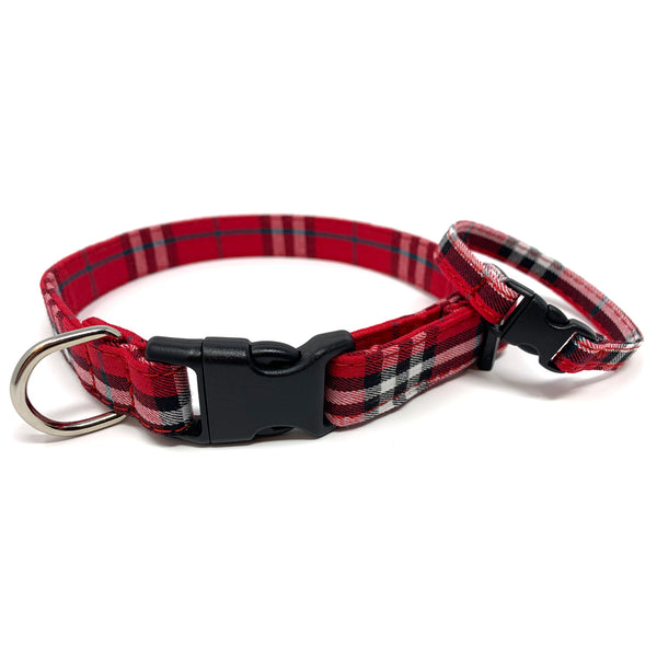 Limited Dog Collar – The Buddy Bracelet