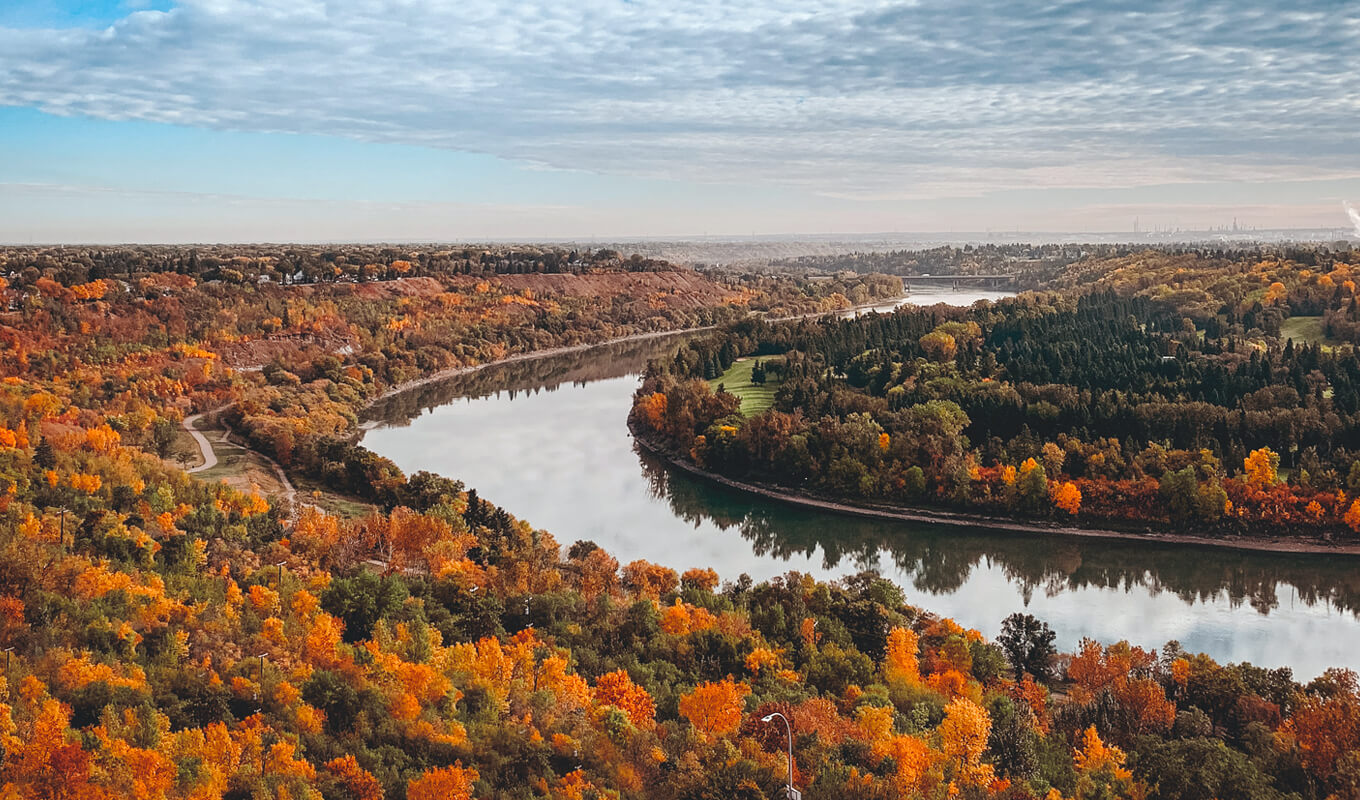 Autumn leaves of North Saskatchewan river