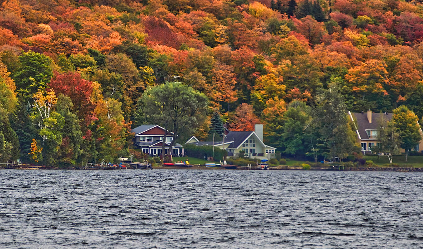 Autumn leaves, Lac meech, Quebec