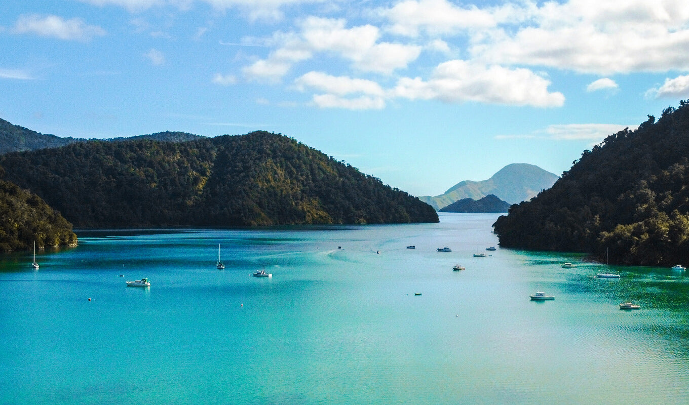 Aerial view of Marlborough Sounds, New Zealand