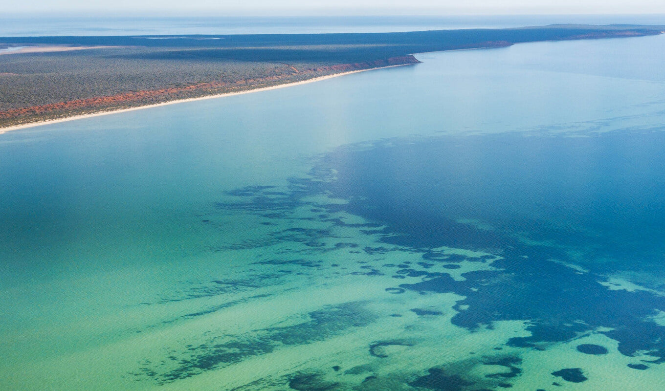 Aerial view of Shark Bay, Western Australia