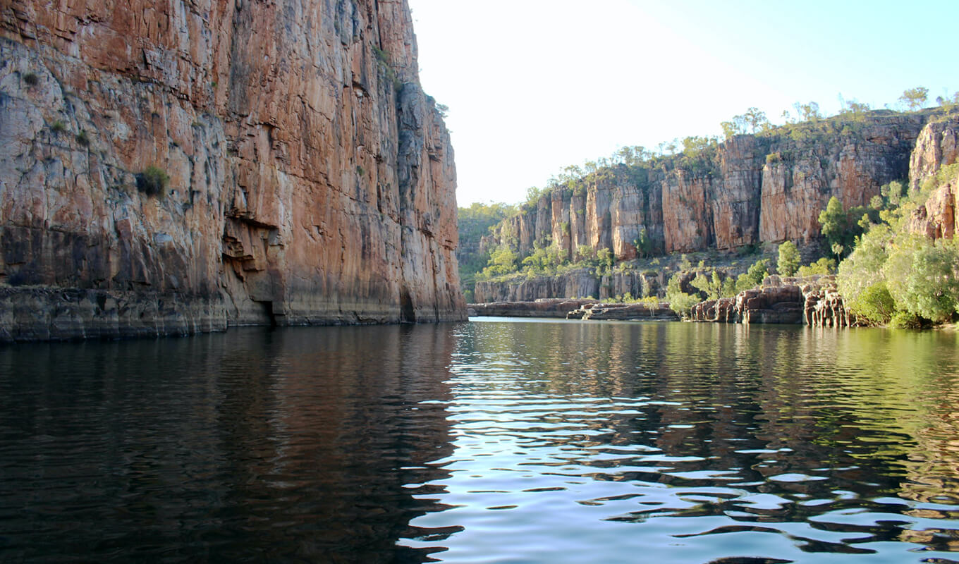 Cliffs and trees on the side of Nitmiluk National Park, Northern Teritory Australia