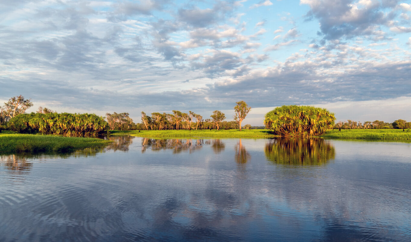 Green trees beside a river at Kakadu National Park, Northern Territory Australia