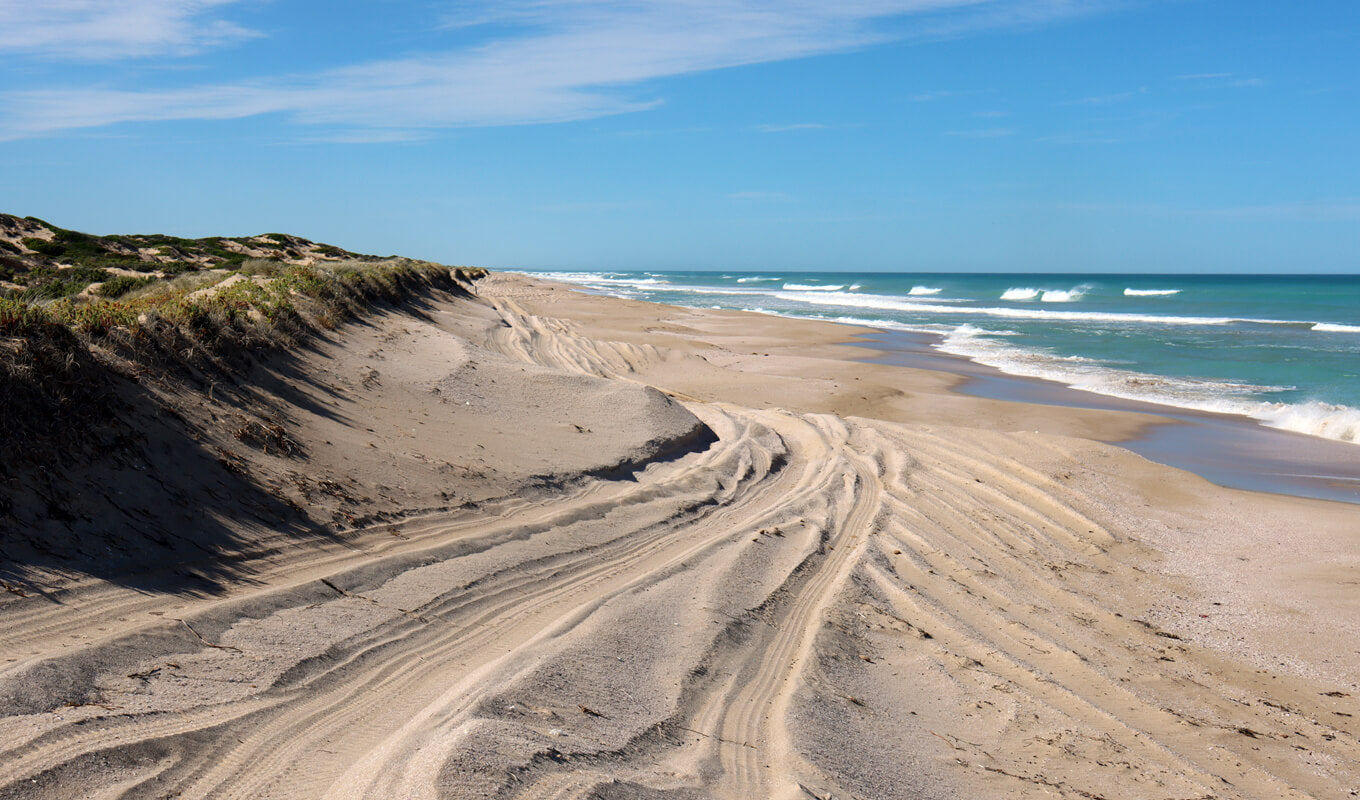 Sandy beach of Coorong National Park, South Australia