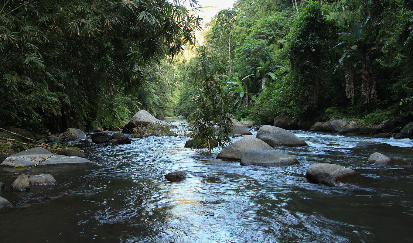 Bali Kayaking Destinations Ayung River