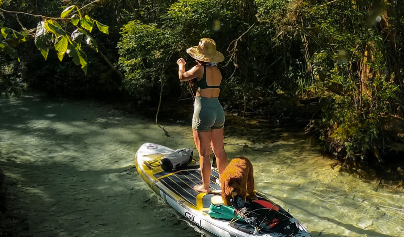 Frauen mit ihrem Hund paddeln im Fluss