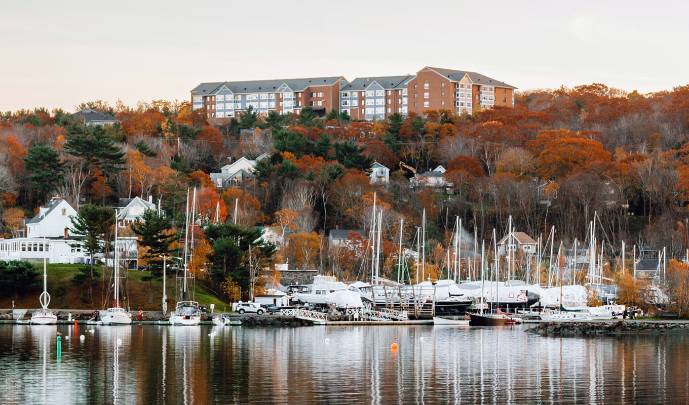 White boats dock in Halifax harbour