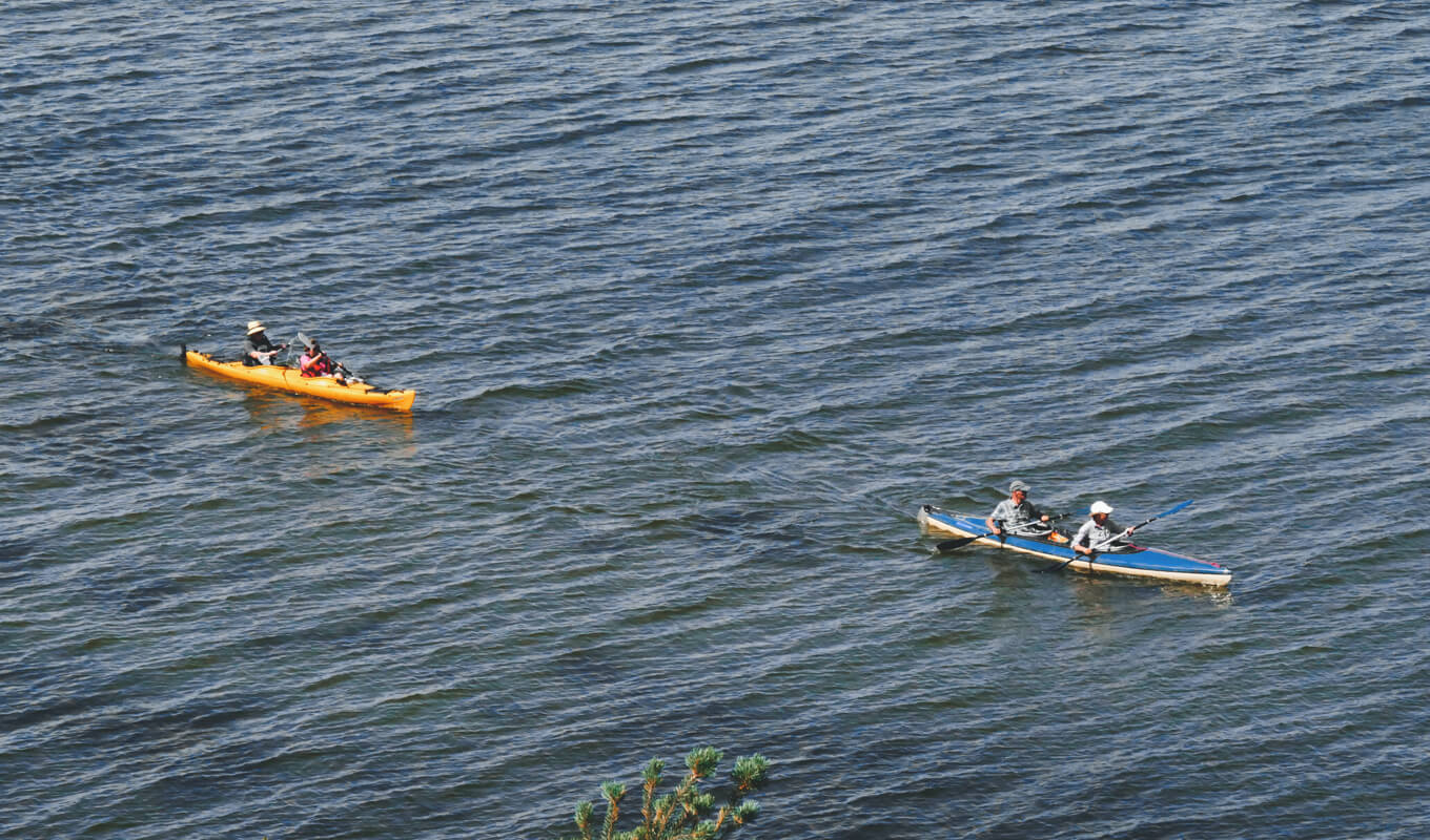 Two kayaks on body of water