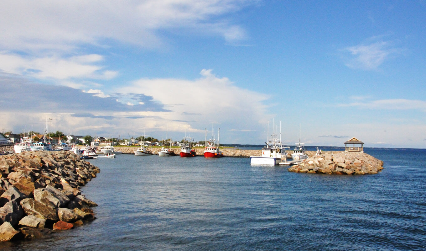 Boat dock at Havre Saint Pierre Quebec canada