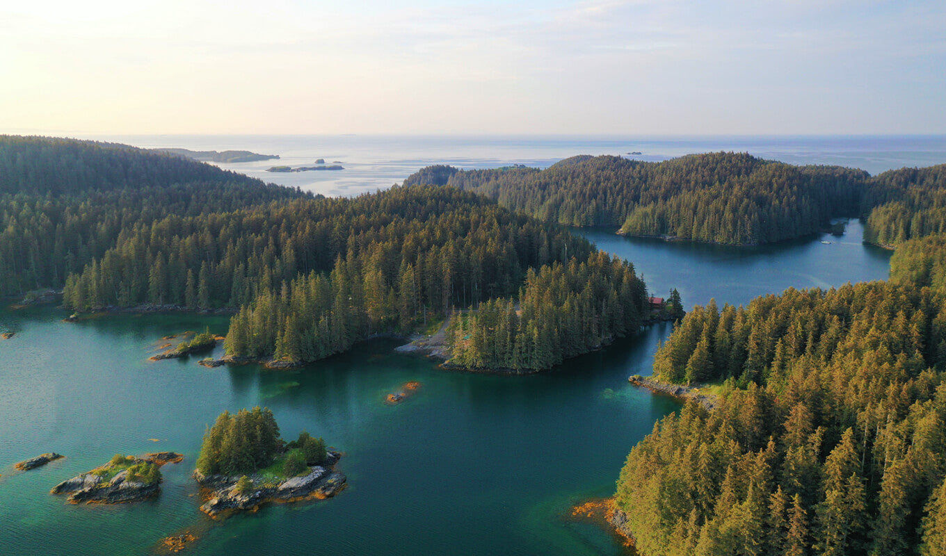 Paddle boarding in Kodiak Island