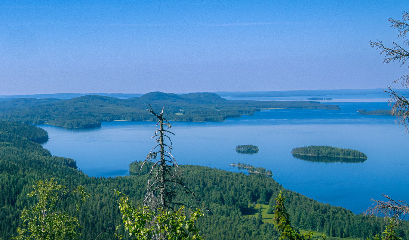 Epic Kayaking Spots in Finland To Blow Your Mind Koli