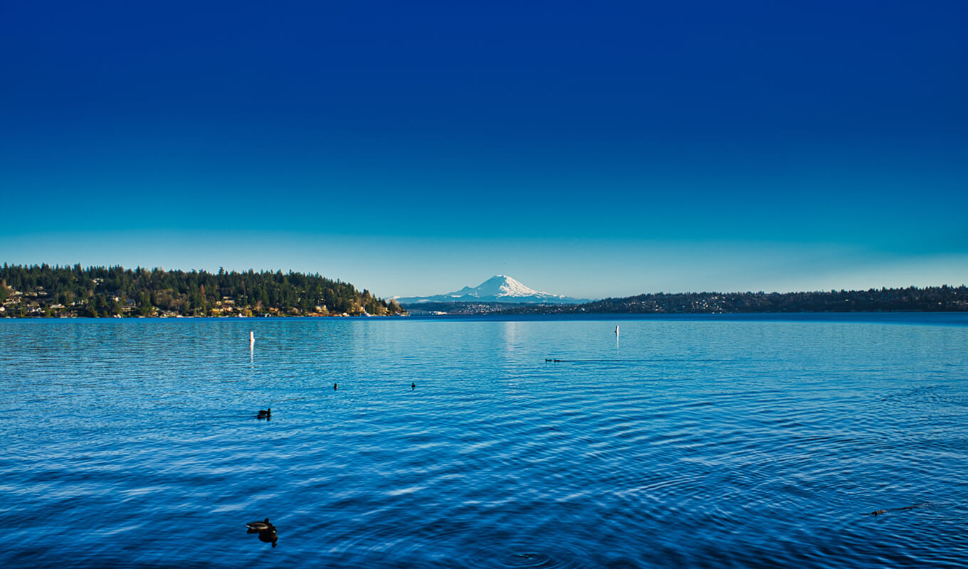 Kristallklares Wasser des Lake Washington