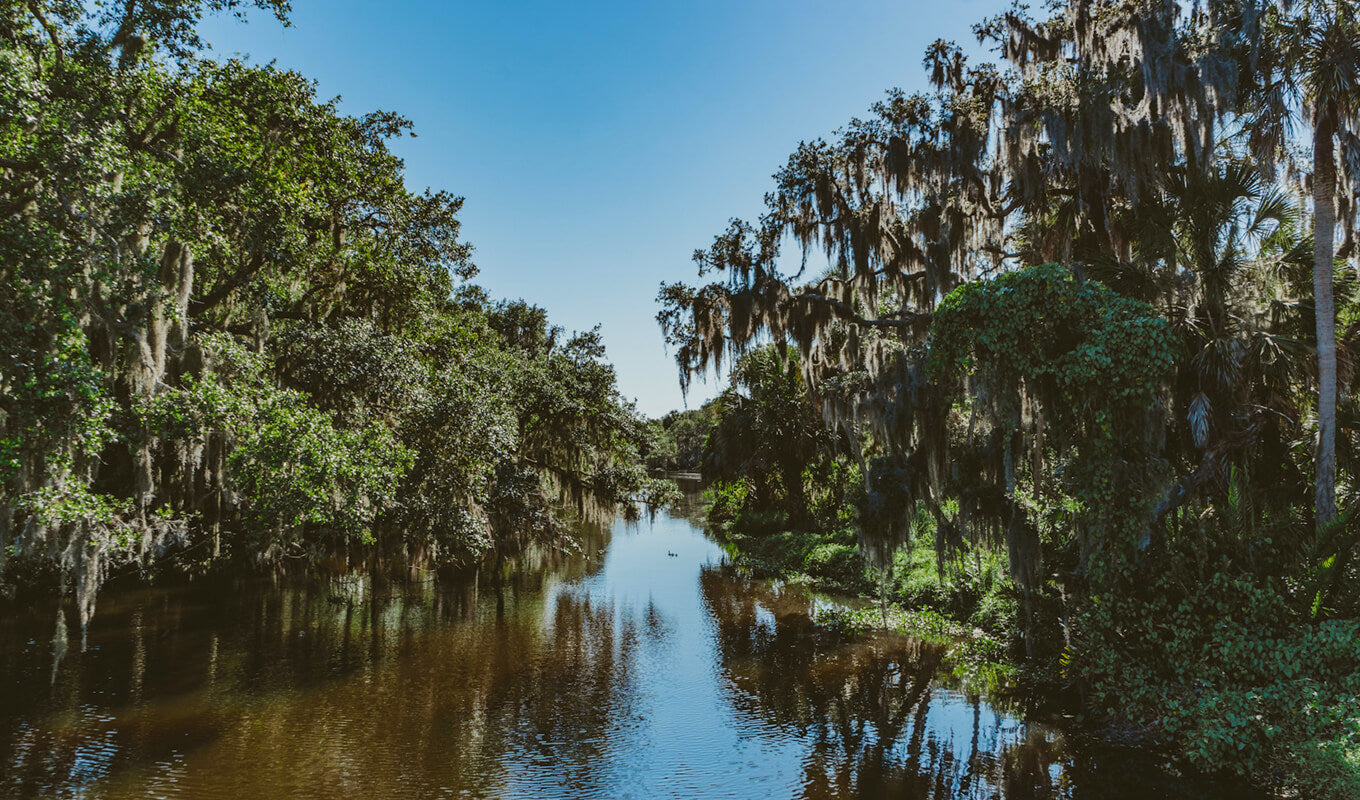 Kleiner seekuhfluss tampa florida