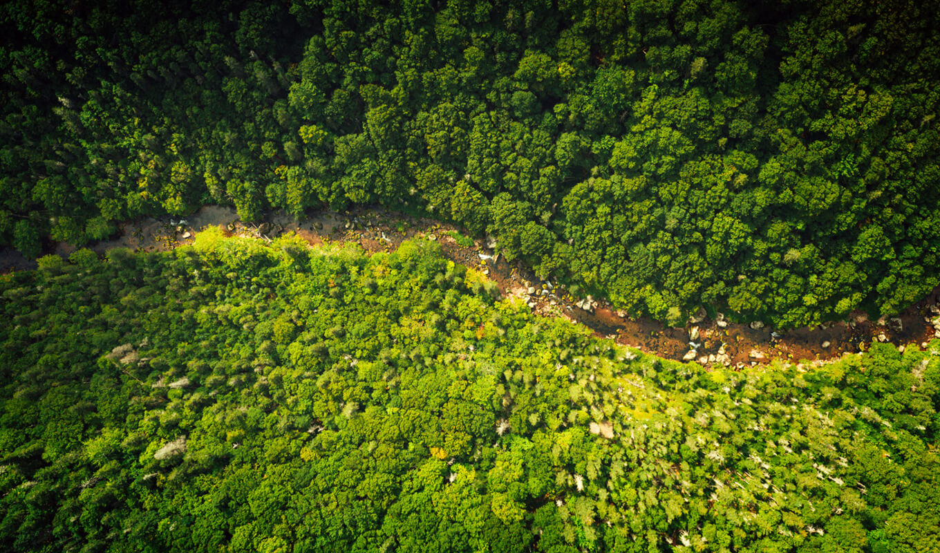 Top view of Margaree river surrounded by forest