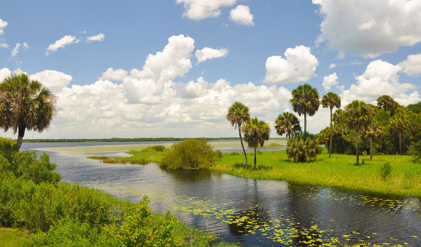 Myakka-Fluss-Staatspark Tampa Florida