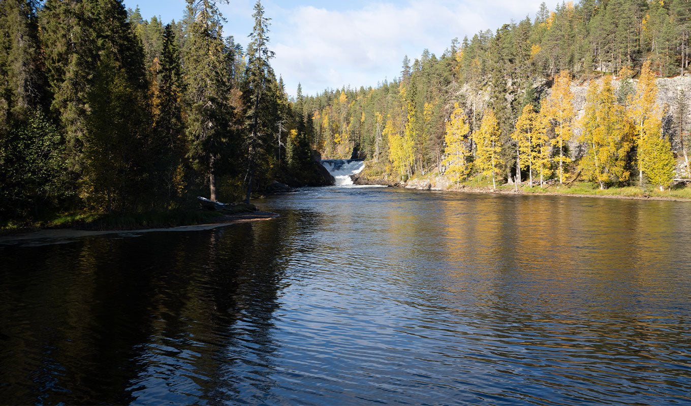 Epic Kayaking Spots in Finland To Blow Your Mind Oulanka