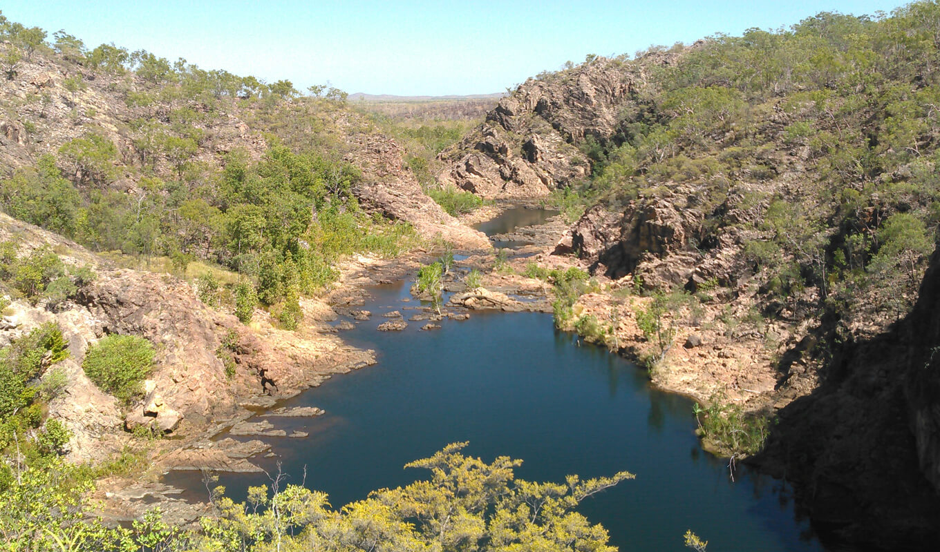 Lawn hill creek in the Boodjamulla national park