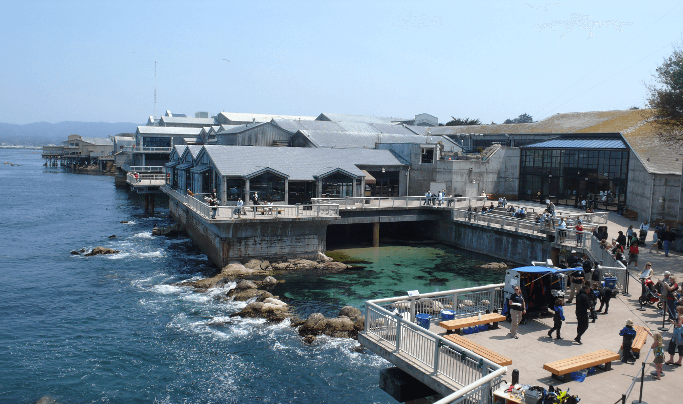 Paddelbrett Kalifornien - Monterey Bay