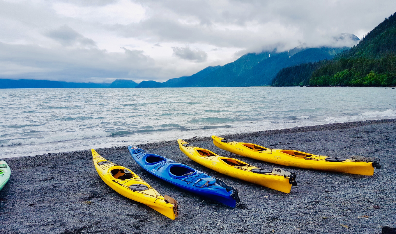 Paddle Board vs Kayak - beach