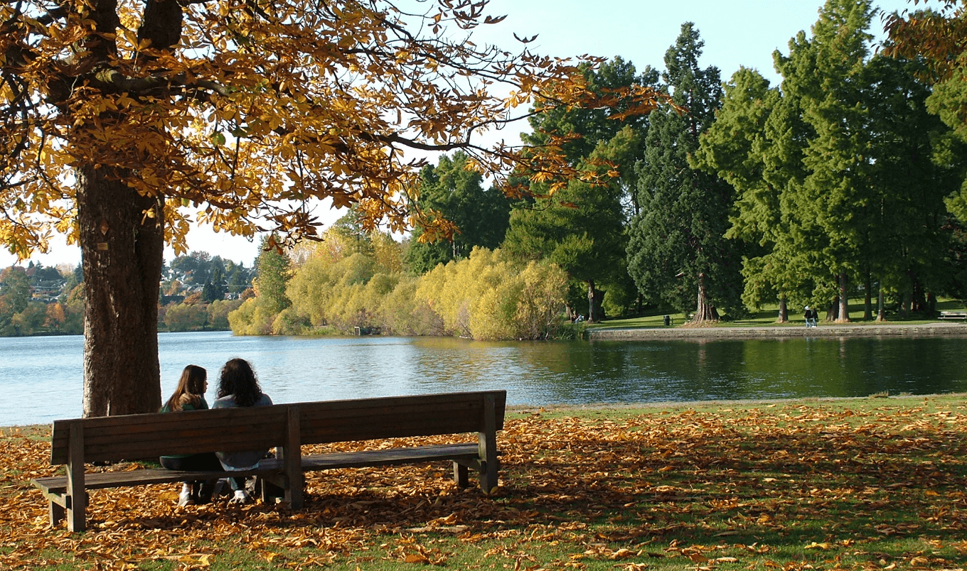 Paddelbrett Seattle - grüner See