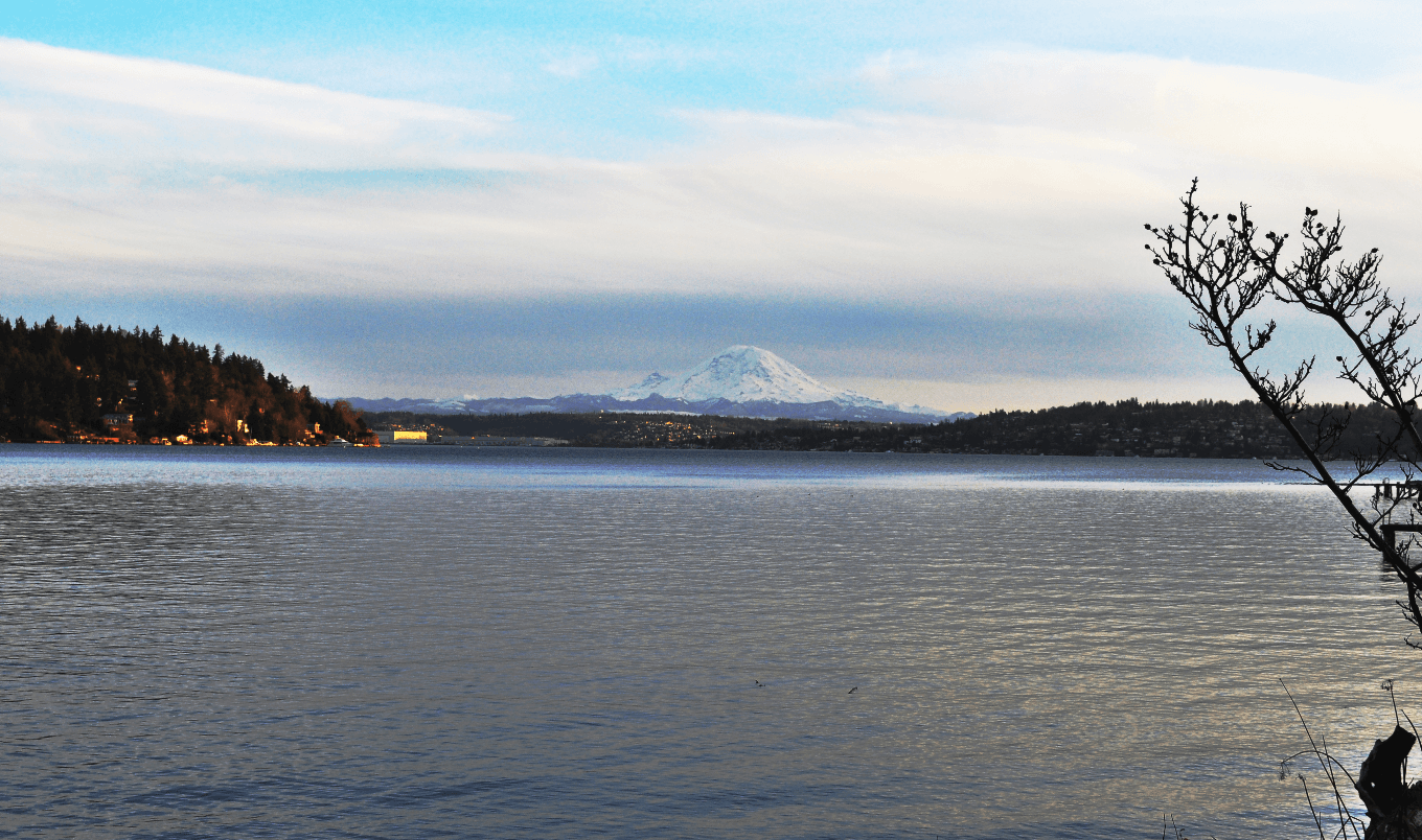 Paddle board seattle - seward park