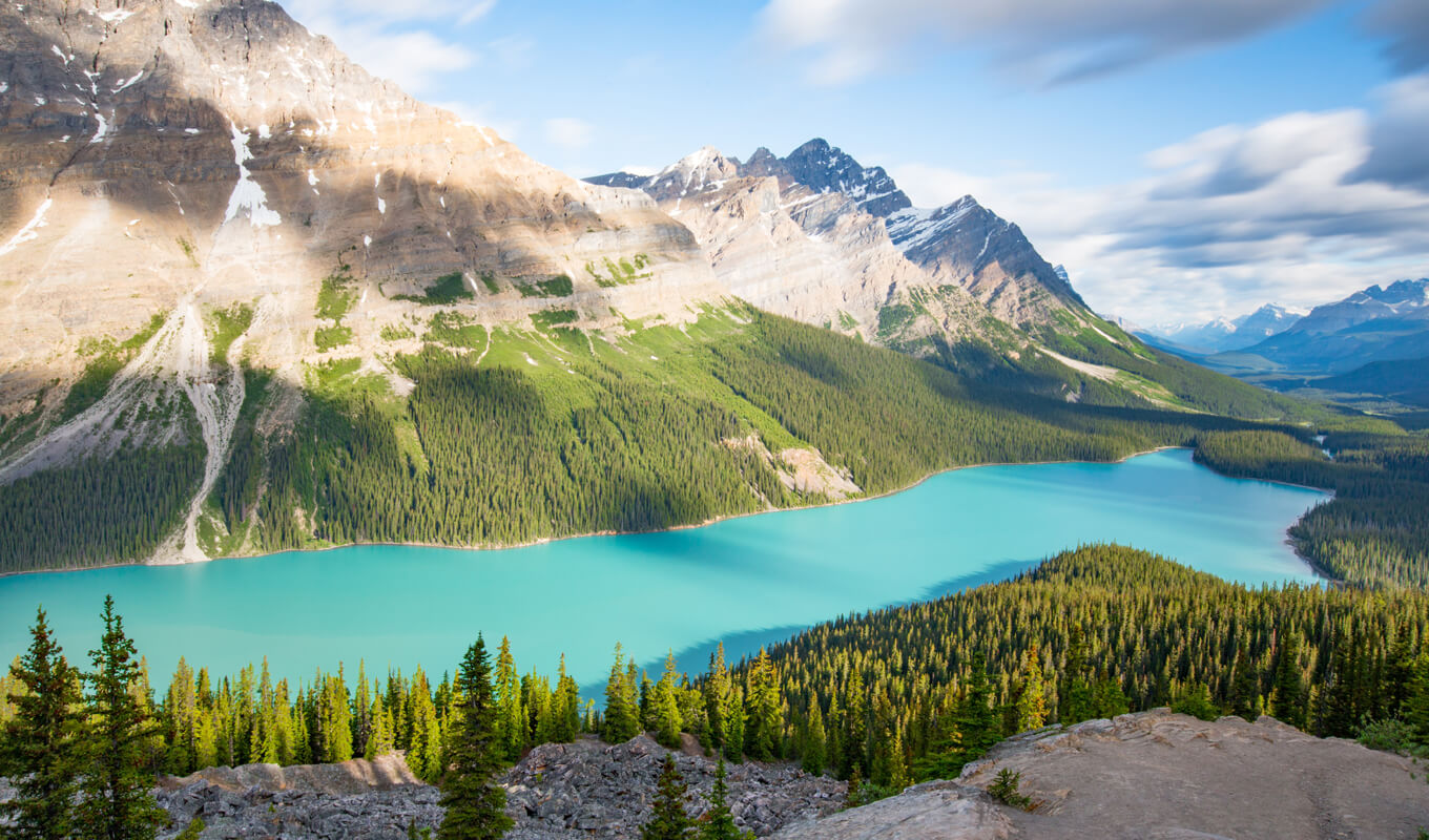 Peyto lake banff alberta