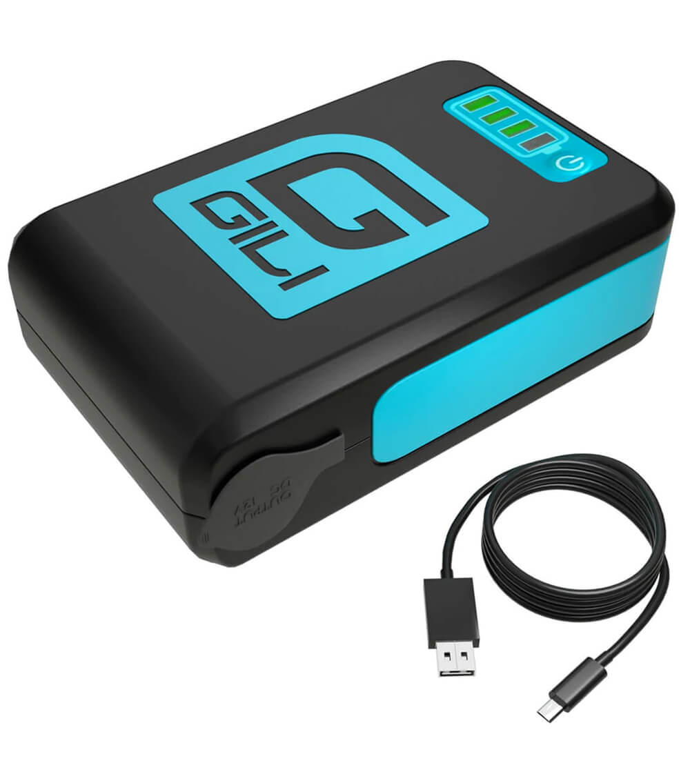 Portable electric pump battery pack