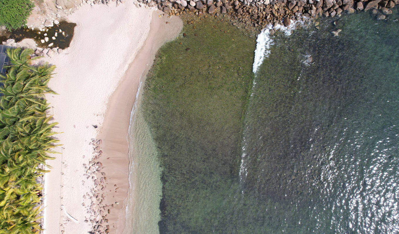 Blick von oben auf den Strand Punta Mita, Nayarit Mexiko