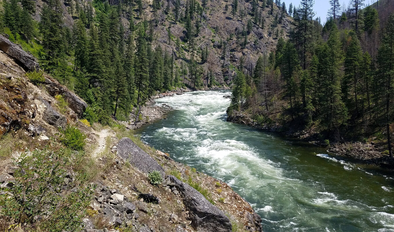 Whitewater paddling Selway River