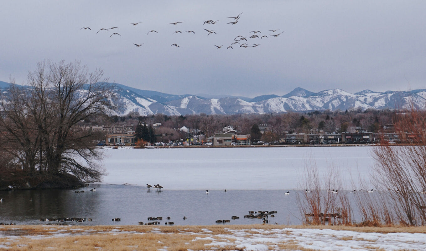 Sloan's lake