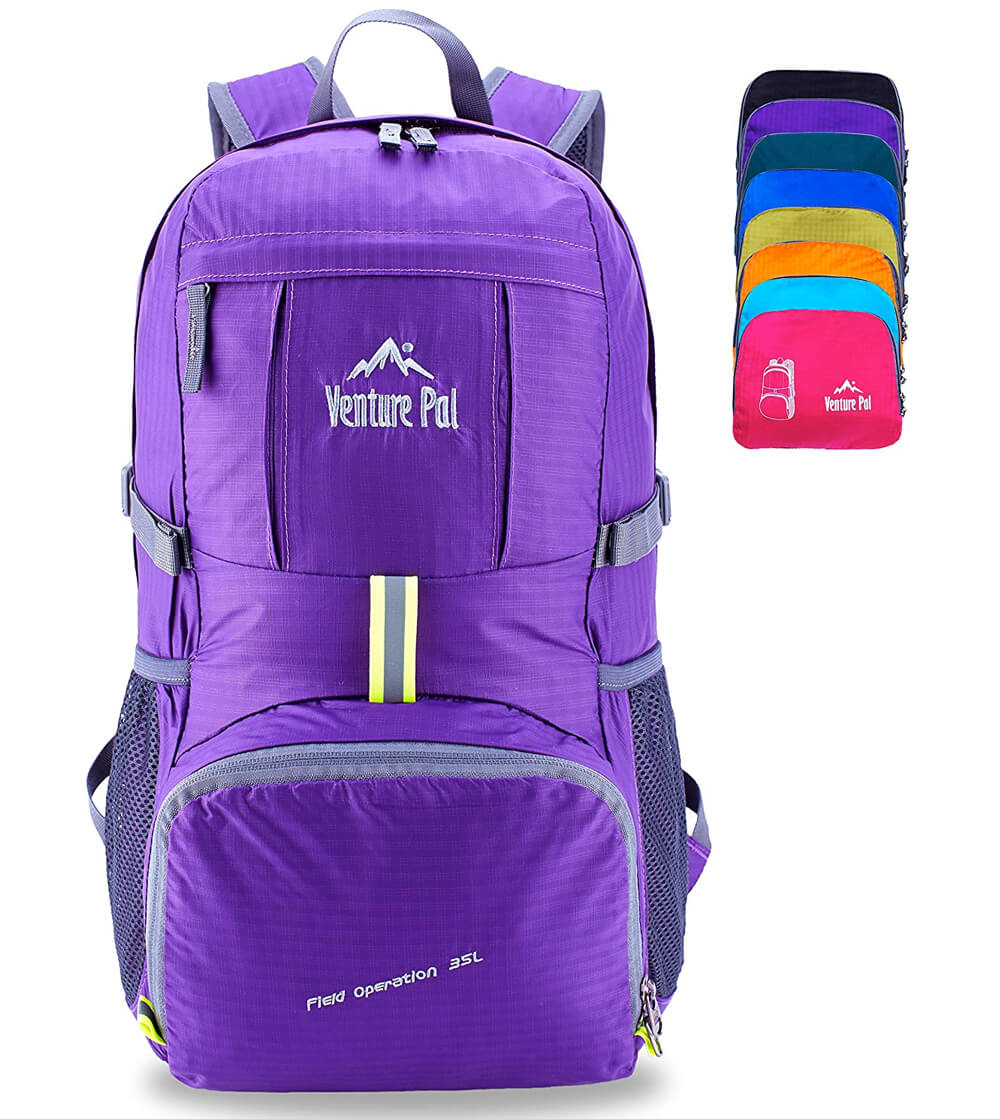 Venture pal ultralight foldable traveling backpack