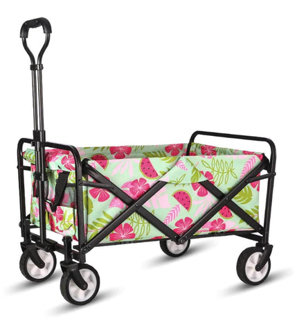 Best Budget Beach Wagons and Carts