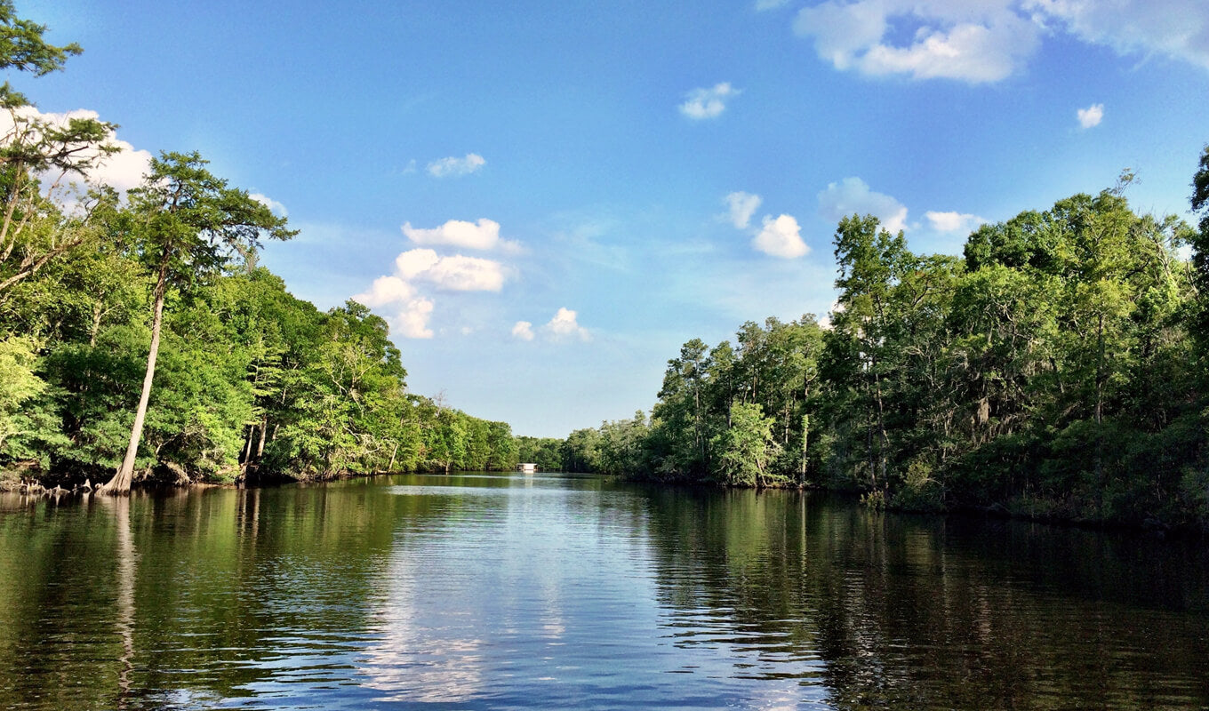 Waccamaw river, South Carolina