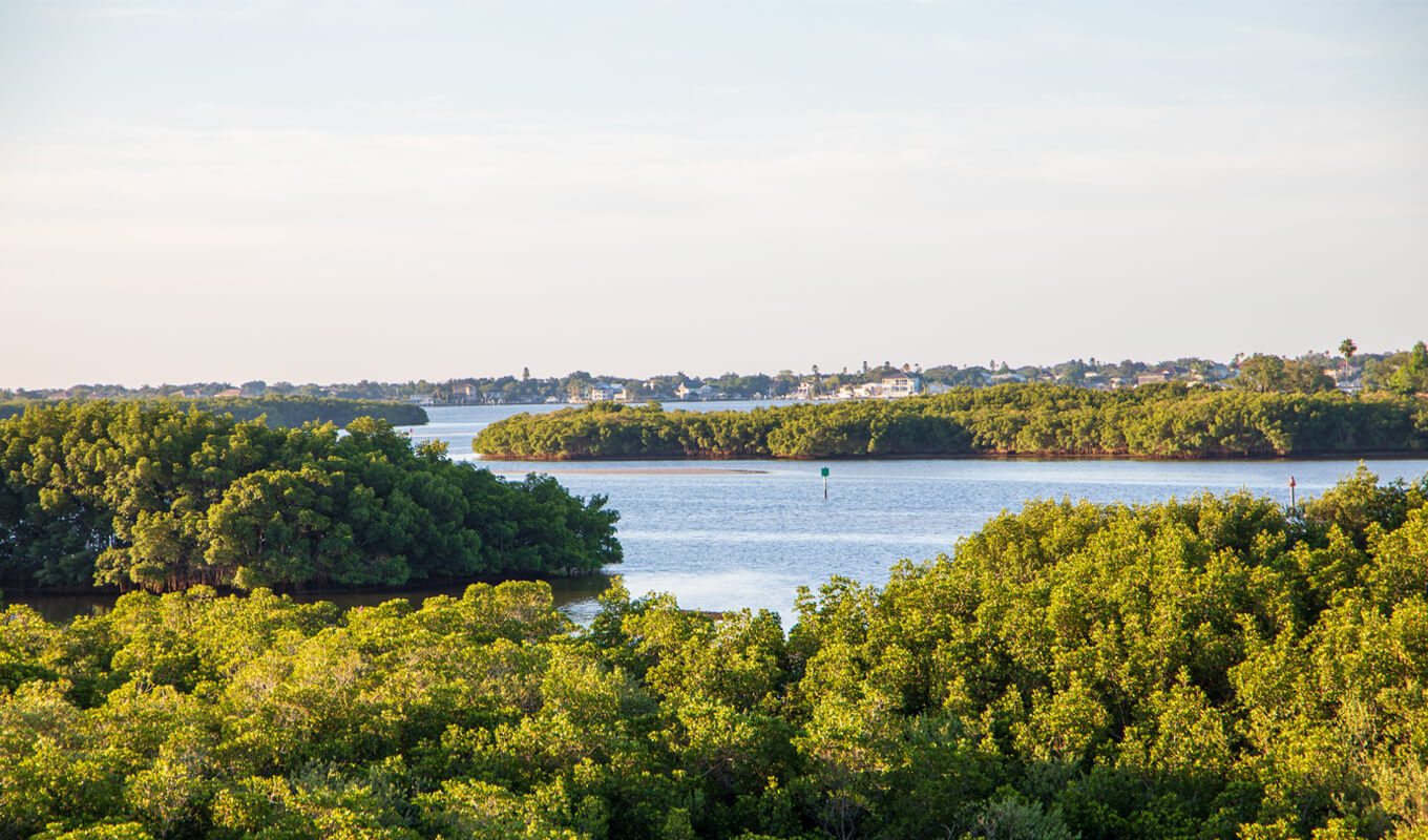 Weedon Island Preserve Tampa Florida