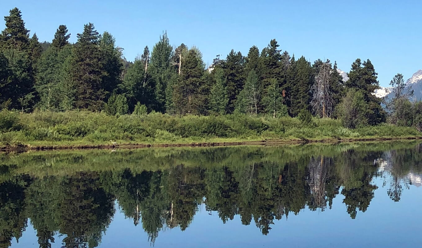 Oxbow Bend