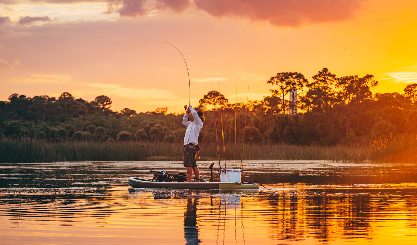 Man fishing with accessories using a paddle board