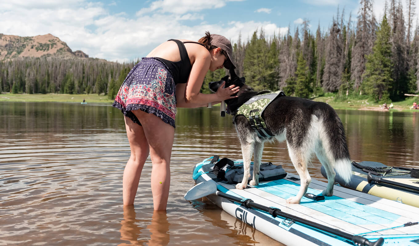 Dog wearing a camo life jacket riding a paddle board