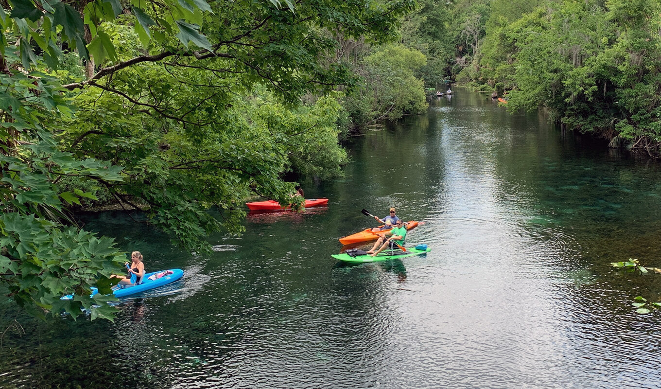 Group of people kayaking on the river