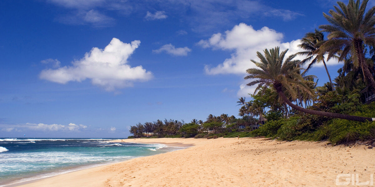 Paddle Board Hawaii