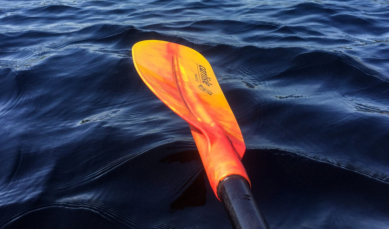 Kayak paddle rod